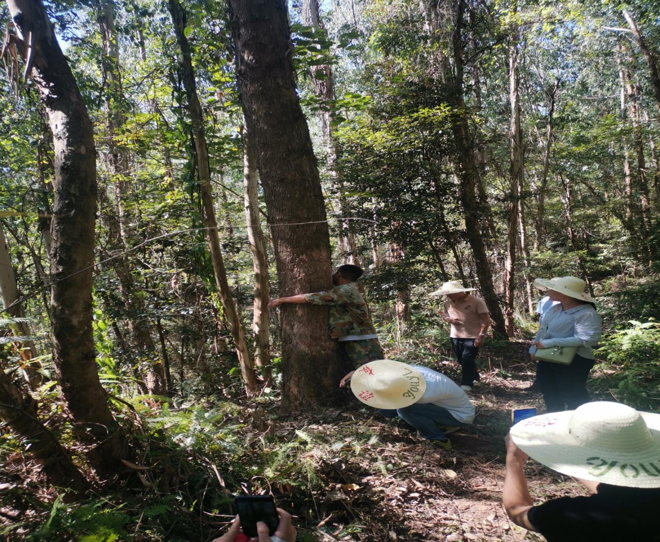 球速体育:从赛场到掌心的每一秒