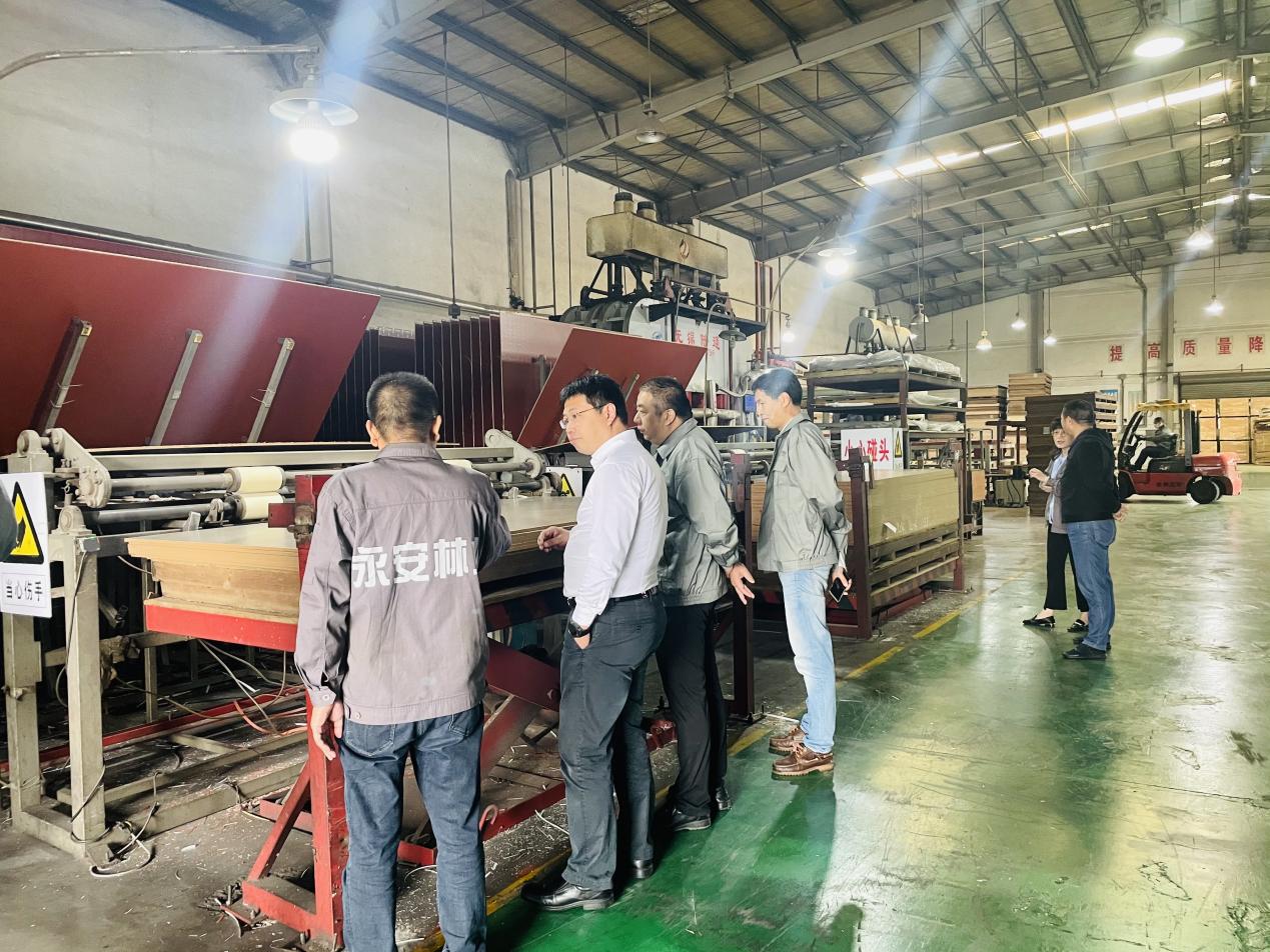 球速体育:从赛场到掌心的每一秒