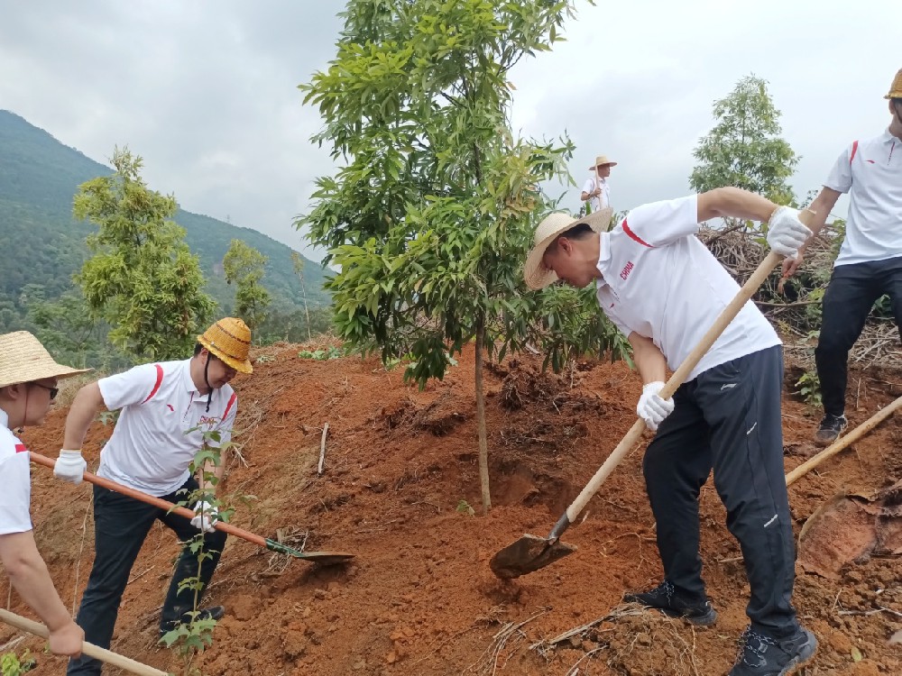 ÇòËÙÌåÓý:´ÓÈü³¡µ½ÕÆÐĵÄÿһÃë