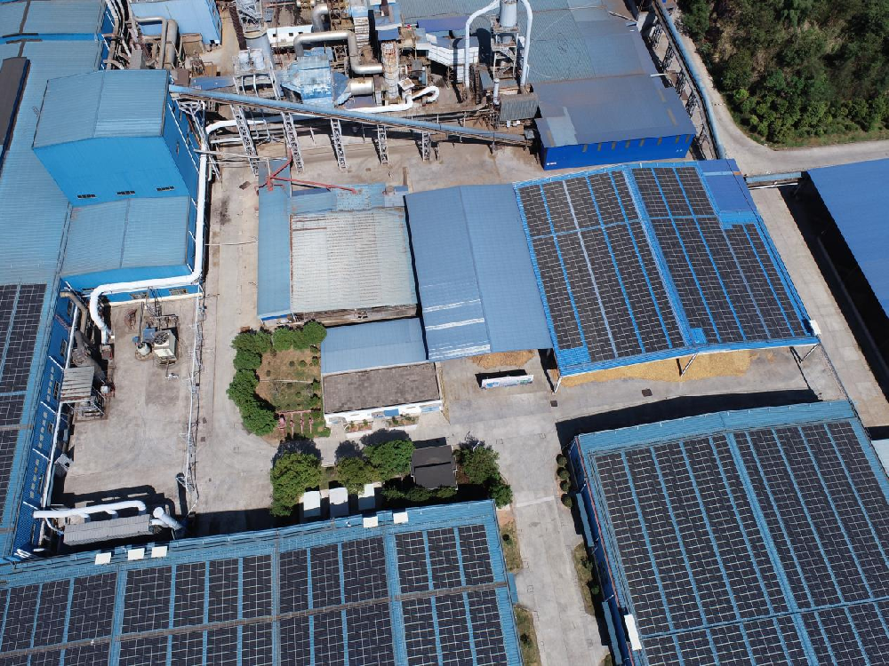 ���������ʵ��������ȼ��ɫ���������桱 ������̼��������