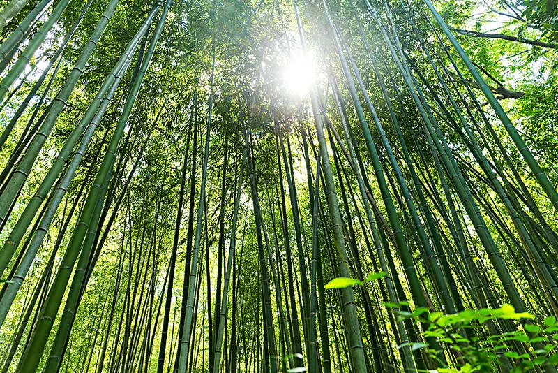 �������� �����ٳ�������ҵ����̼������ɫ������·��