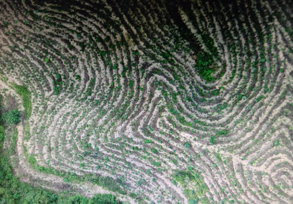 Ϊ�������ϡ��۾��������Ƽ���������Ӫ�����뻤������Ч��