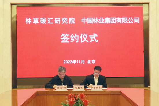 球速体育:从赛场到掌心的每一秒