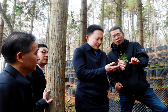 ��������:�����������ĵ�ÿһ��