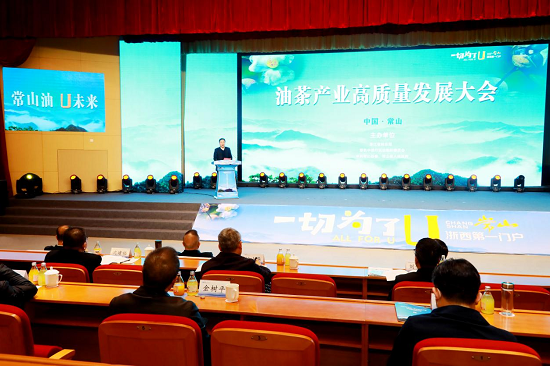 球速体育:从赛场到掌心的每一秒