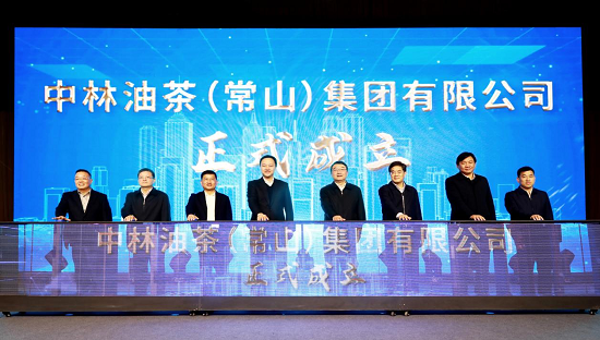 球速体育:从赛场到掌心的每一秒