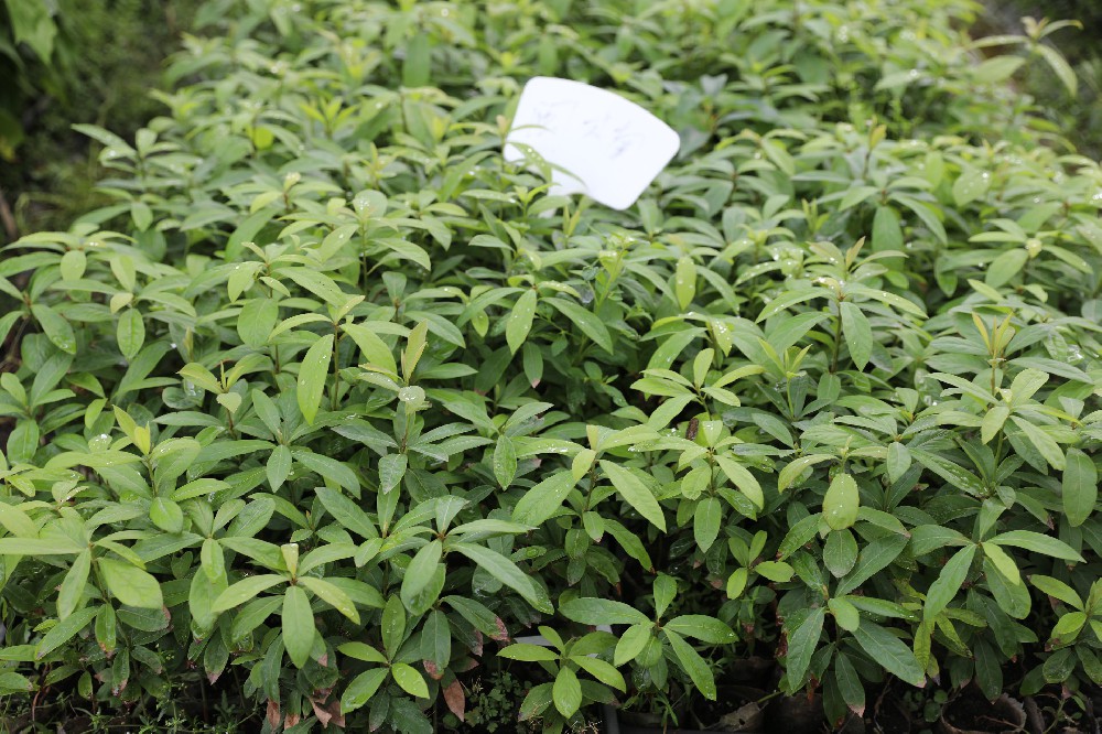 ��������:�����������ĵ�ÿһ��