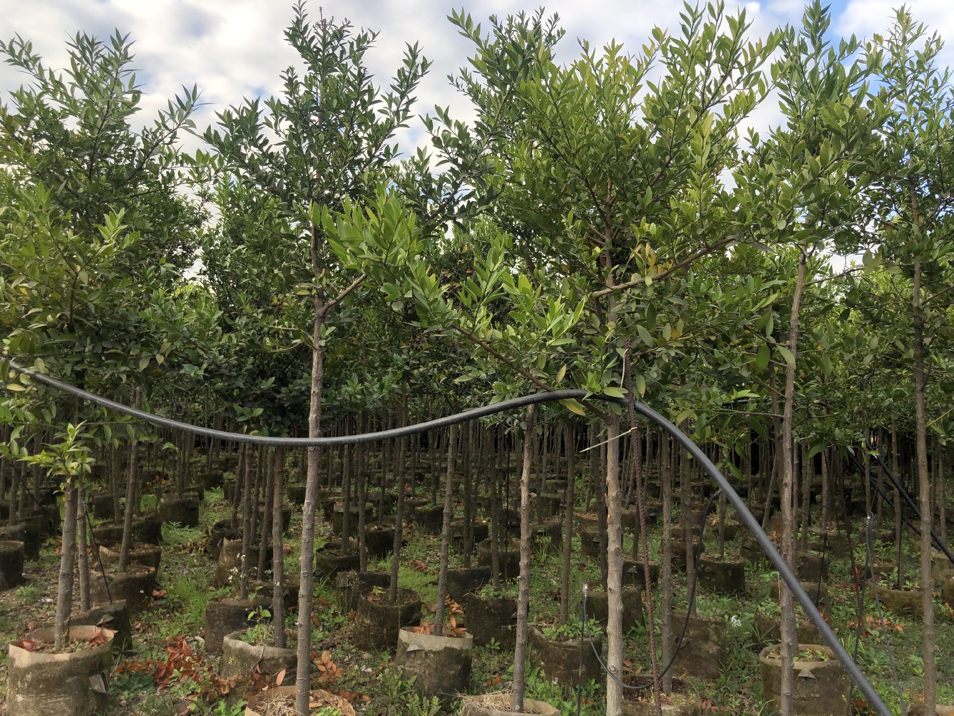 �������������.jpg