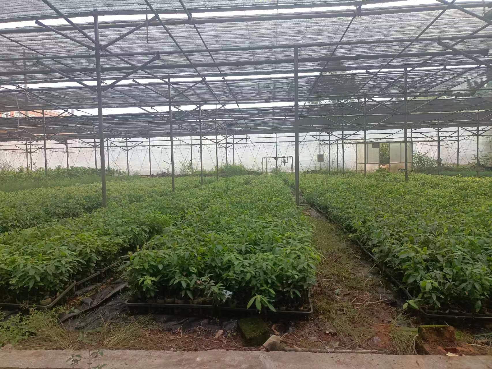 1669272781175766.png Ãöéª.jpg