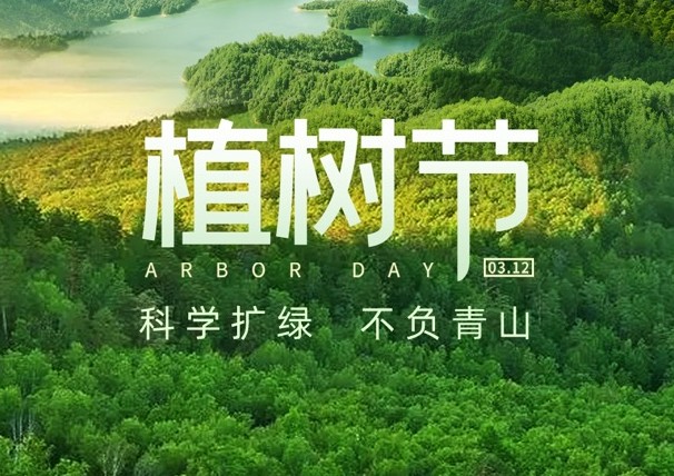 ֲ���ڡ�����ֲ��̬ ֲ������