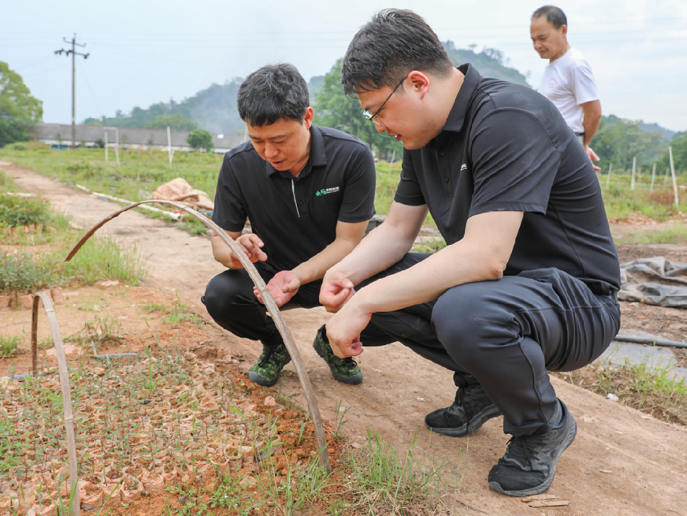 �Լ��õ��и���ҵ�����鲢�ٿ���һ����ı������������