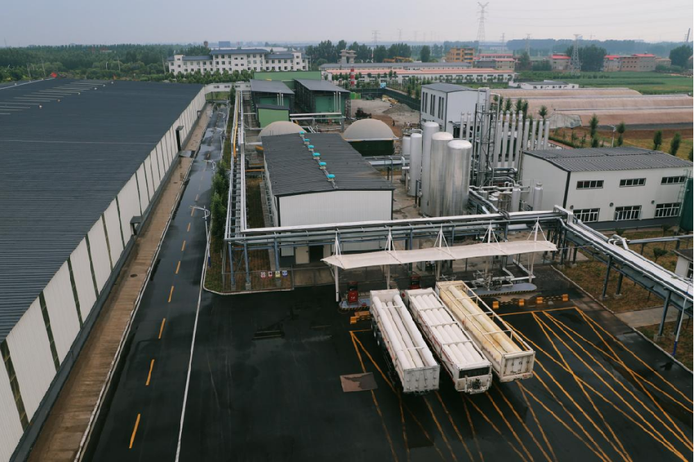 ����������:�����������ĵ�ÿһ����ҵ��ı�������ѽ��ѽ����������������ת�͵������������������������������Ļ�