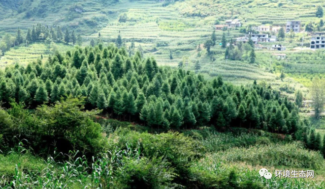 ѧ������ | ��̬�����������������޸�������̼�к�