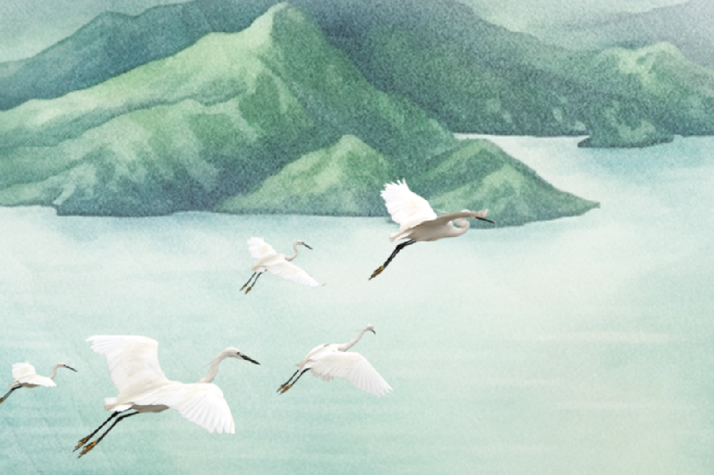 ���ա���¶