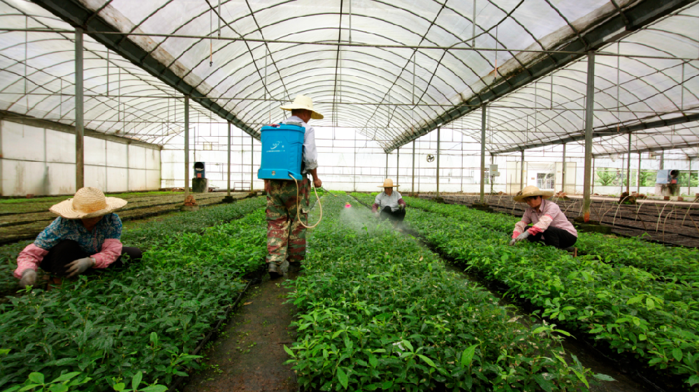 ��������:�����������ĵ�ÿһ����ҵ��������������ֺ��ͺ��������ֻ��ʡ��������ľ����ר���ʽ�֧��