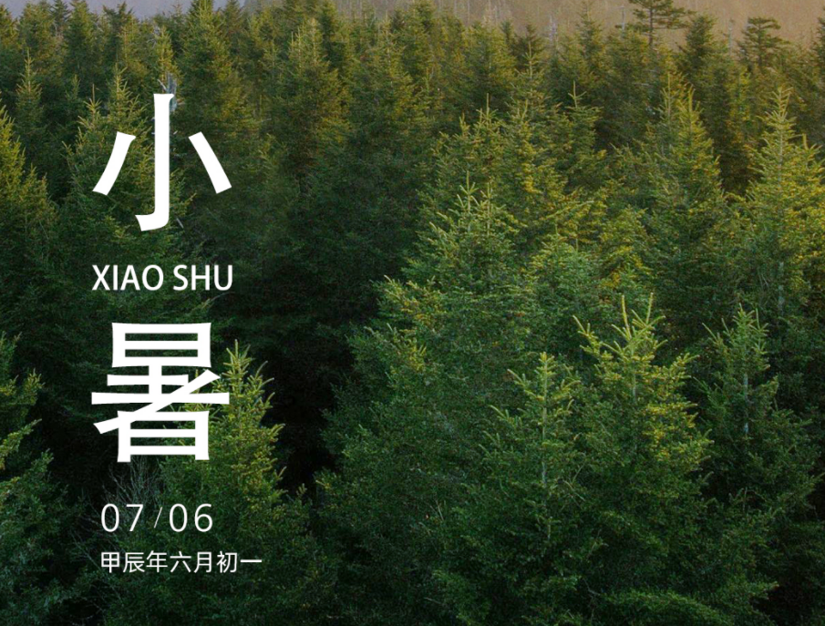 С�� | �Ĳ�ʼ�� �������