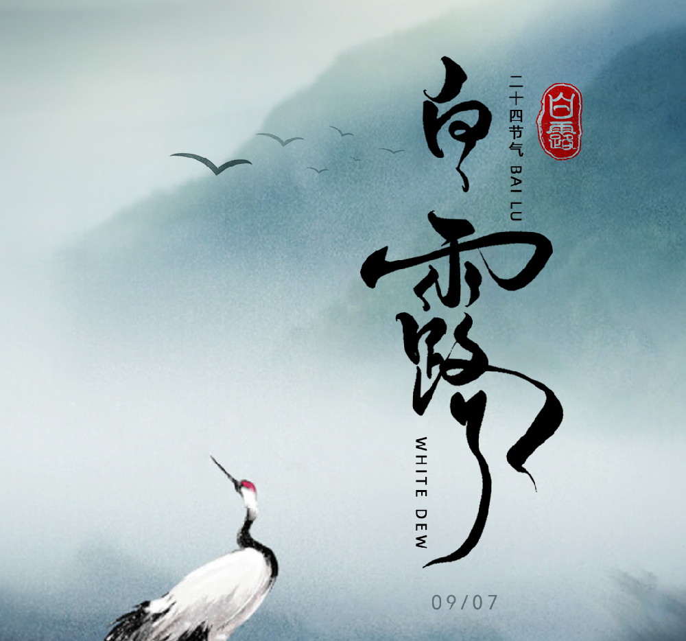 ��¶ | ��¶����ˬ ɭ�ֻ���װ