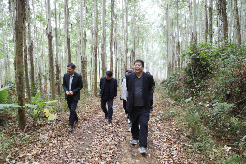 �����������ֹ�˾���в�ο��һ�߸ɲ�ְ��