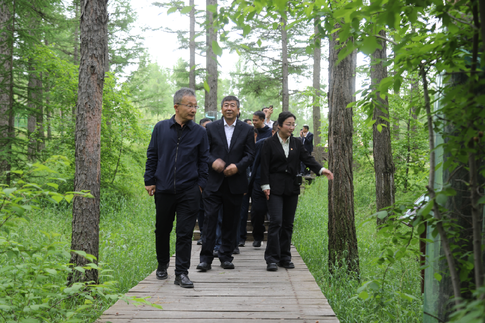 �й���ҵ���Ÿ��������ֳ�ѧϰ����