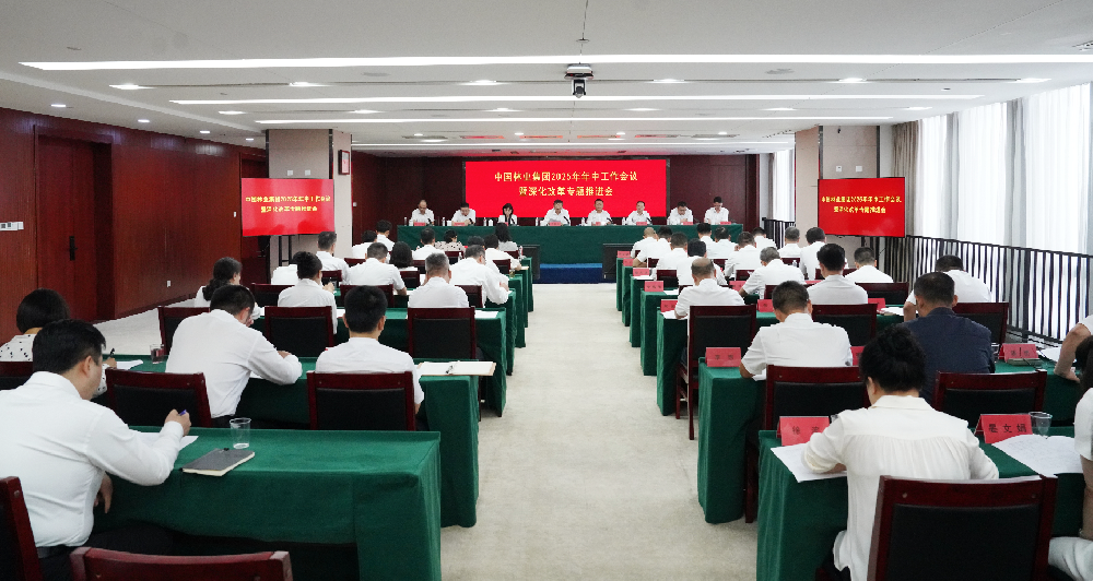 �й���ҵ�����ٿ�2025����������ۻ����ˢ��ר���ƽ���