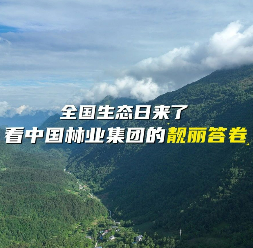 ������̬�����ˣ����й���ҵ���ŵ��������