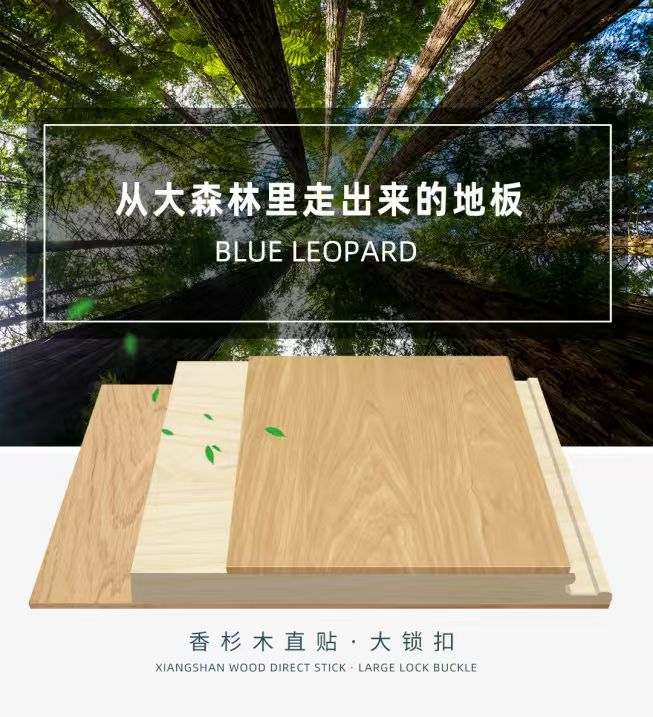 һ�����չ���������ж�حһ���ĵ���֮·����������:�����������ĵ�ÿһ����ҵ��ļҾӸ������������