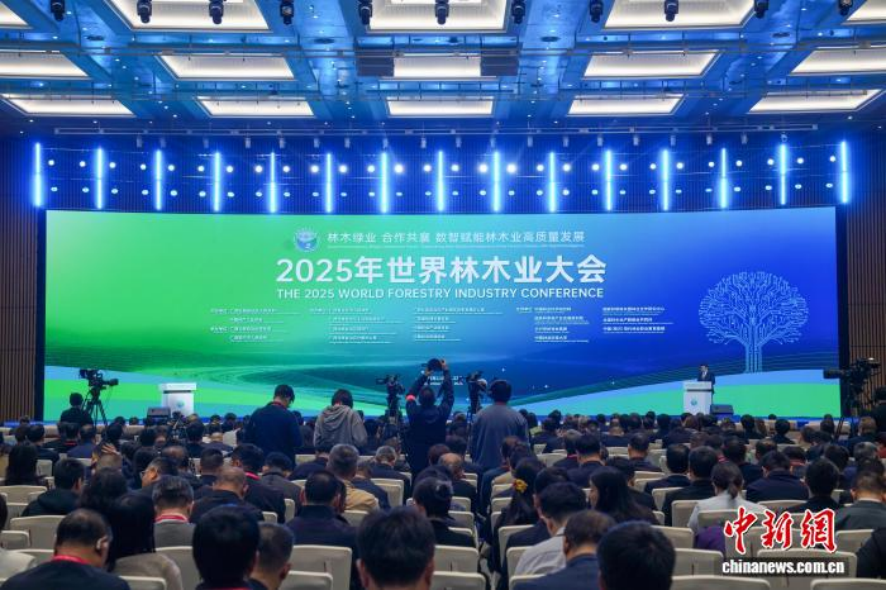 �й���ҵ��������2025��������ľҵ��� Ϊ��̬���������ṩ�����Ҷӡ�ʵ���ƻ�