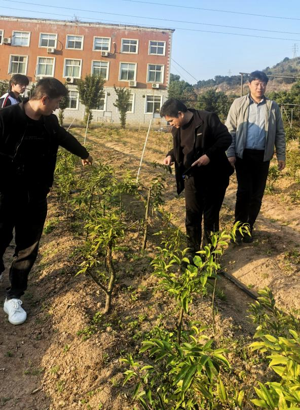 ��������:�����������ĵ�ÿһ��